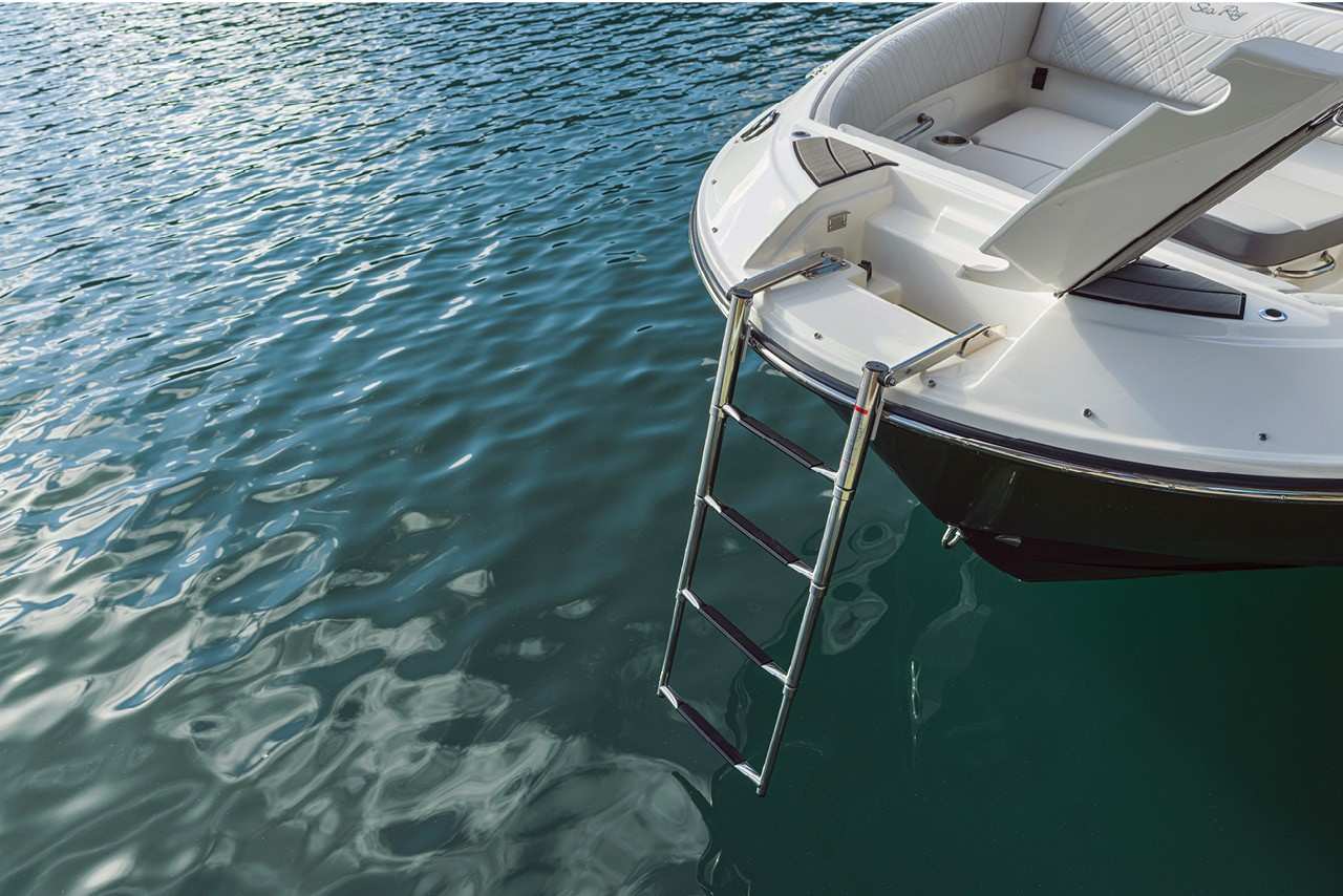 SDX 250 swim ladder